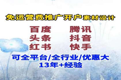 竞价端口开户后的广告投放策略案例
